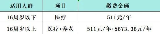 1703483557202169.jpg 10.jpg